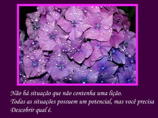 Não há situação que não contenha uma lição. Todas as situações possuem um potencial, mas você precisa Descobrir qual é. 