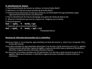 III. Identificación de Haluros
1. Para la identificación de haluros se utilizara el mineral halita (NaCl)
2. Adicionar a un tubo de ensayo rotulado 2g de halita (NaCl)
3. Posteriormente adicionarle al tubo que contiene a la halita (NaCl) 5ml agua destilada y agita
vigorosamente hasta formar una disolución
4. Para la identificación de haluros (X) agrega unas gotas de nitrato de plata al 1%.
5. Observar el fenómeno que ocurre y capture las imágenes con el celular
6. Reacción general
MeX + AgNO3  MeNO3 + AgX
7. Reacción con el mineral halita (NaCl)
NaCl + AgNO3  NaNO3 + AgCl + H2O
Precipitado blanco
Muestras de Minerales desconocidas A,B, C a identificar
Rotula tus tubos, 3 con la leyenda agua destilada y la letra del mineral y otros 3 con la leyenda HCl y
la letra del mineral.
A los tubos rotulado con agua destilada adicionales 5 mL de esta y 1g de mineral ya se A, B, C y agítalos.
Posteriormente adicionales 3 gotas de AgNO3 a cada uno de estos tubos y observa el fenómeno e
identifica si alguno de estos minerales contienen Haluros.
Por otra parte a los tubos rotulados con HCl adicionales 5 mL de este y 1g de mineral ya sea A, B, C y
agítalos. Observa el fenómeno e identifica si alguno de estos minerales contiene sulfuros o
carbonatos.
 