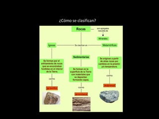 ¿Cómo se clasifican?
 