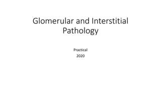 Glomerular and Interstitial
Pathology
Practical
2020
 