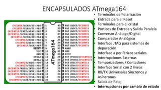 PIC vs AVR | PDF