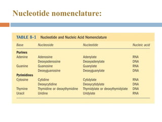 Neceotide Table Nucleotide Chemistry | PPTX