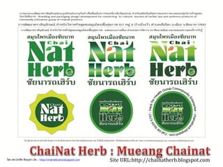 Site URL:http://chainatherb.blogspot.comโดย ผศ.ประชิด ทิณบุตร URL : http://chainatbrand.blogspot.com
 