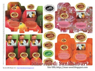 Site URL:http://mae-aeed.blogspot.comโดย ผศ.ประชิด ทิณบุตร URL : http://chainatbrand.blogspot.com
 
