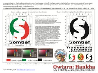 Site URL:http://nongzang.blogspot.comโดย ผศ.ประชิด ทิณบุตร URL : http://chainatbrand.blogspot.com
 