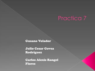 Gusano Volador
Julio Cesar Govea
Rodríguez
Carlos Alexis Rangel
Flores