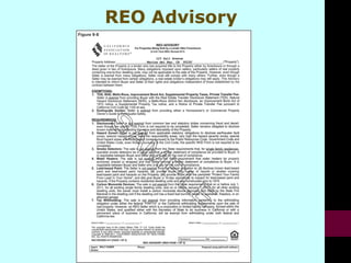 REO Advisory
 