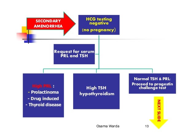 Amenorrhea with negative pregnancy test