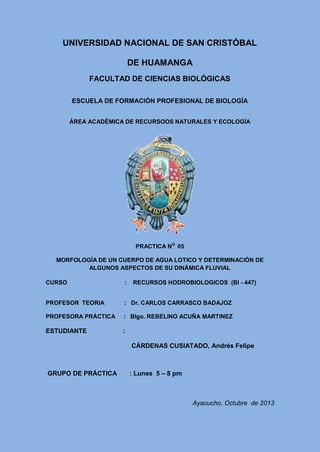 UNIVERSIDAD NACIONAL DE SAN CRISTÓBAL 
DE HUAMANGA 
FACULTAD DE CIENCIAS BIOLÓGICAS 
ESCUELA DE FORMACIÓN PROFESIONAL DE BIOLOGÍA 
ÁREA ACADÉMICA DE RECURSOOS NATURALES Y ECOLOGÍA 
PRACTICA NO 05 
MORFOLOGÍA DE UN CUERPO DE AGUA LOTICO Y DETERMINACIÓN DE ALGUNOS ASPECTOS DE SU DINÁMICA FLUVIAL 
CURSO : RECURSOS HODROBIOLOGICOS (BI - 447) 
PROFESOR TEORIA : Dr. CARLOS CARRASCO BADAJOZ 
PROFESORA PRÁCTICA : Blgo. REBELINO ACUÑA MARTINEZ 
ESTUDIANTE : 
CÁRDENAS CUSIATADO, Andrés Felipe 
GRUPO DE PRÁCTICA : Lunes 5 – 8 pm 
Ayacucho, Octubre de 2013 
 