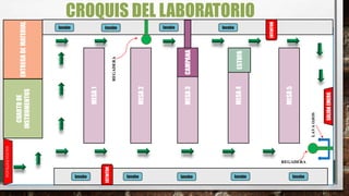 CROQUIS DEL LABORATORIO
SALIDAEMERG
SALIDA/ENTRADA
CUARTODE
INSTRUMENTOS
MESA1
MESA2
MESA3
MESA4
MESA5
CAMPANA
ENTREGADEMATERIAL
lavabo
ESTUFA
lavabo lavabolavabolavabo
lavabolavabolavabolavabo
EXTINTOR
EXTINTOR
REGADERA
REGADERA
LAVAOJOS
 