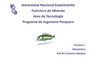 Universidad Nacional Experimental
Francisco de Miranda
Area de Tecnologia
Programa de Ingenieria Pesquera
Practica 1
Bioquimica
Prof.M.V.Carmen Medina
 