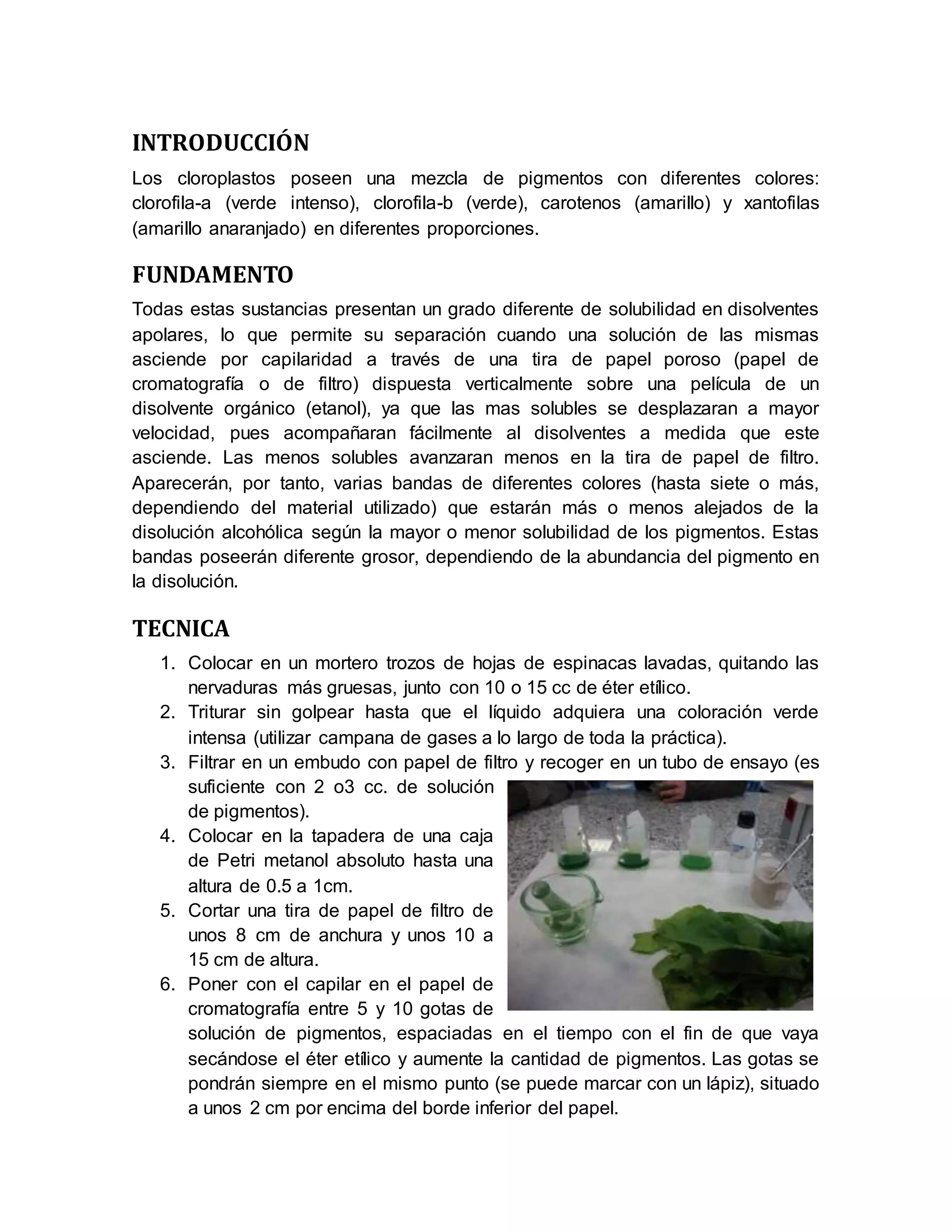obtencion de epithalon por cromatografia Figura M1: Purificacin protenas cromatografa de afinidad en Principios de la cromatografa en