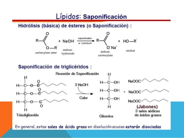 Aceites, Grasas y la Saponificación