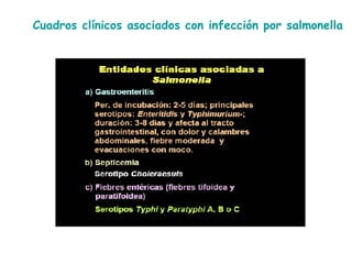 Cuadros clínicos asociados con infección por salmonella 