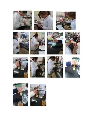 Practica 1-bioquimica | DOCX