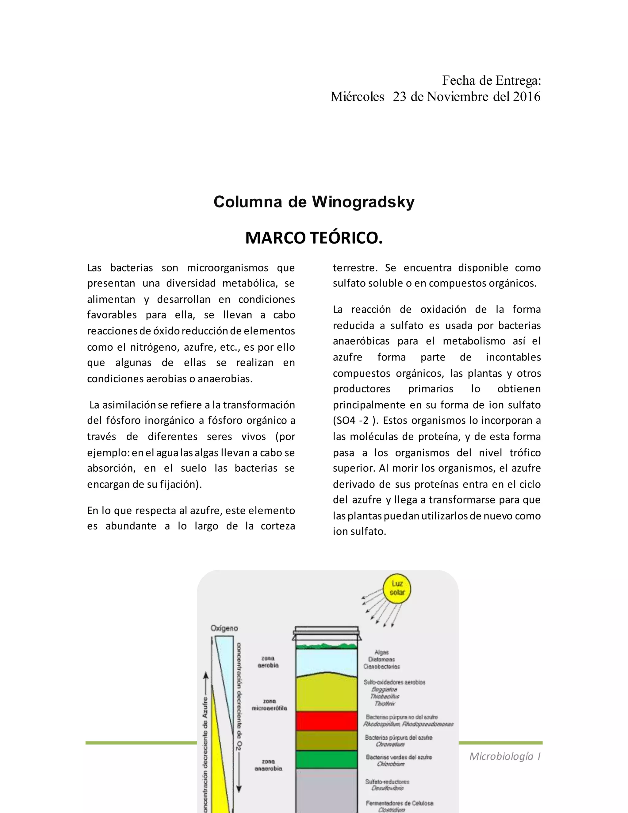 Practica columnadewinogradsky PDF