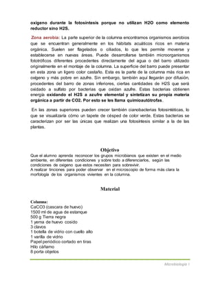 Microbiología I
oxígeno durante la fotosíntesis porque no utilizan H2O como elemento
reductor sino H2S.
Zona aerobia: La parte superior de la columna encontramos organismos aerobios
que se encuentran generalmente en los hábitats acuáticos ricos en materia
orgánica. Suelen ser flagelados o ciliados, lo que les permite moverse y
establecerse en nuevas áreas. Puede desarrollarse también microorganismos
fototróficos diferentes procedentes directamente del agua o del barro utilizado
originalmente en el montaje de la columna. La superficie del barro puede presentar
en esta zona un ligero color castaño. Esta es la parte de la columna más rica en
oxígeno y más pobre en azufre. Sin embargo, también aquí llegarán por difusión,
procedentes del barro de zonas inferiores, ciertas cantidades de H2S que será
oxidado a sulfato por bacterias que oxidan azufre. Estas bacterias obtienen
energía oxidando el H2S a azufre elemental y sintetizan su propia materia
orgánica a partir de CO2. Por esto se les llama quimioautótrofas.
En las zonas superiores pueden crecer también cianobacterias fotosintéticas, lo
que se visualizaría cómo un tapete de césped de color verde. Estas bacterias se
caracterizan por ser las únicas que realizan una fotosíntesis similar a la de las
plantas.
Objetivo
Que el alumno aprenda reconocer los grupos microbianos que existen en el medio
ambiente, en diferentes condiciones y sobre todo a diferenciarlos, según las
condiciones de oxigeno que estos necesiten para sobrevivir.
A realizar tinciones para poder observar en el microscopio de forma más clara la
morfología de los organismos vivientes en la columna.
Material
Columna:
CaCO3 (cascara de huevo)
1500 ml de agua de estanque
500 g Tierra negra
1 yema de huevo cosido
3 clavos
1 botella de vidrio con cuello alto
1 varilla de vidrio
Papel periódico cortado en tiras
Hilo cáñamo
8 porta objetos
 