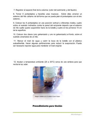 Microbiología I
7. Registrar el aspecto final de la columna (color del sedimento y del líquido).
8. Tomar 8 portaobjetos y hacerles unas muescas . Sobre ellas amarrar un
extremo del hilo cáñamo de tal forma que se pueda jalar el portaobjetos con el otro
extremo .
9. Colocar los 8 portaobjetos en una posición vertical a diferentes niveles, cuatro
sobre el sustrato inclinados contra la pared del recipiente dejando que el extremo
de hilo suelto quede suspendido fuera de la botella y cuatro en los primeros 10 cm
de la superficie.
10. Colocar dos clavos (uno galvanizado y uno no galvanizado) al fondo, sobre el
sustrato amarrados de un hilo.
11. Marcar el nivel de agua y cubrir la boca de la botella con el plástico
autoadherible. Hacer algunas perforaciones para reducir la evaporación. Puede
ser necesario reponer agua para mantener el nivel original.
12. Incubar a temperatura ambiente (25 a 30°C) cerca de una ventana para que
reciba la luz solar.
Imagen tomada con un celular LG.de 5 mpxs
Procedimiento para tinción
 