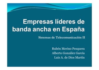 Sistemas de Telecomunicación II


         Rubén Merino Pesquera
         Alberto González García
          Luis A. de Dios Martín
 