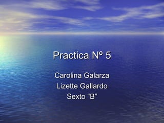 Practica Nº 5Practica Nº 5
Carolina GalarzaCarolina Galarza
Lizette GallardoLizette Gallardo
Sexto “B”Sexto “B”
 