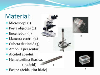 Material:
 Microscopi (1)
 Porta objectes (2)
 Encenedor (3)
 Llanceta estèril (4)
 Cubeta de tinció (5)
 Ampolla per rentar
 Alcohol absolut
 Hematoxilina (bàsica,
tint àcid)
 Eosina (àcida, tint bàsic)
1
2
3
4
5
 