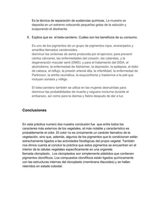 Es la técnica de separación de sustancias químicas, La muestra se
deposita en un extremo colocando pequeñas gotas de la solución y
evaporando el disolvente.
6. Explica que es el beta-caroteno. Cuáles son los beneficios de su consumo.
Es uno de los pigmentos de un grupo de pigmentos rojos, anaranjados y
amarillos llamados carotenoides.
disminuir los síntomas de asma producida por el ejercicio; para prevenir
ciertos cánceres, las enfermedades del corazón, las cataratas, y la
degeneración macular senil (DMS); y para el tratamiento del SIDA, el
alcoholismo, la enfermedad de Alzheimer, la depresión, la epilepsia, el dolor
de cabeza, el reflujo, la presión arterial alta, la infertilidad, la enfermedad de
Parkinson, la artritis reumática, la esquizofrenia y trastornos a la piel que
incluyen soriasis y vitiligo.
El beta-caroteno también se utiliza en las mujeres desnutridas para
disminuir las probabilidades de muerte y ceguera nocturna durante el
embarazo, así como para la diarrea y fiebre después de dar a luz.
Conclusiones
En esta práctica numero dos nuestra conclusión fue que entre todos los
caracteres más externos de los vegetales, el más notable y característico es
probablemente el color .El color no es únicamente un carácter llamativo de la
vegetación, sino que, además, algunos de los pigmentos que lo condicionan están
estrechamente ligados a las actividades fisiológicas del propio vegetal. También
nos dimos cuenta al concluir la práctica que estos pigmentos se encuentran en el
interior de la células vegetales específicamente en una organela
llamada cloroplasto. Los cloroplastos son simplemente plástidos que contienen
pigmentos clorofílicos. Los compuestos clorofílicos están ligados químicamente
con las estructuras internas del cloroplasto (membrana tilacoides) y se hallan
retenidos en estado coloidal.
 