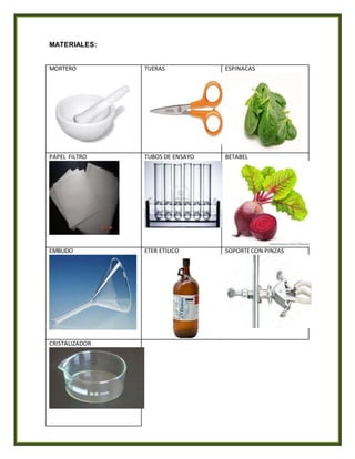 MATERIALES:
MORTERO TIJERAS ESPINACAS
PAPEL FILTRO TUBOS DE ENSAYO BETABEL
EMBUDO ETER ETILICO SOPORTECON PINZAS
CRISTALIZADOR
 