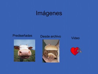 Im á genes Prediseñadas Desde archivo Video 