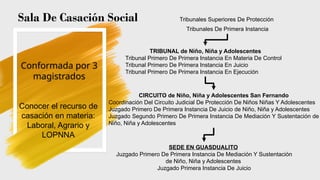 Comprehensive Overview of the Judicial Power Structure in Venezuela | PPTX