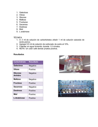 1. Galactosa
2. Xilosa
3. Glucosa
4. Maltosa
5. Fructuosa
6. Sacarosa
7. Dextrosa
8. Miel
9. L arabinose
TÉCNICA
1. A 3 ml de solución de carbohidratos añadir 1 ml de solución saturada de
ácido pícrico.
2. Agregar 0.5 ml de solución de carbonato de sodio al 10%.
3. Calentar en agua hirviendo durante 1.5 minutos.
4. NOTA: Un color café denota prueba positiva.
Resultados
Carbohidrato Resultado
Galactosa Negativo
Xilosa Positivo
Glucosa
Anhidra
Negativo
Maltosa Negativo
Fructosa Positivo
Sacarosa Negativo
Dextrosa Positivo
Miel Positivo
L-Arabinose Positivo
 