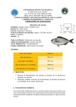 UNIVERSIDAD TÉCNICA DE MACHALA
“Calidad Pertinencia y Calidez”
D.L. N° 69-04, DE 14 DE ABRIL DE 1969
PROV. DE EL ORO-REP. DEL ECUADOR
UNIDAD ACADÉMICA DE CIENCIAS QUÍMICAS Y DE LA SALUD
CARRERA DE BIOQUÍMICA Y FARMACIA
LABORATORIO DE TOXICOLOGÍA
PRÁCTICA BF. 8.01-03
Estudiante: Gabriela Viviana Cunalata Cueva
Docente: Dr. Carlos García
Carrera: Bioquímica Y Farmacia
Fecha de realización de la práctica: sábado, 17 de Junio del 2017
Curso: 8vo Semestre
Paralelo: “A”
Título de la Práctica: Intoxicación por mercurio
Animal de Experimentación: Pescado (vísceras).
Vía de Administración: Vía Intraperitoneal.
Volumen administrado: 10ml de nitrato de mercurio
TIEMPOS:
Inicio de la práctica 08:20 am
Hora de disección 08:25 am
Hora Inicio de Destilado 08:51 am
Hora de finalización de Destilado 09:09 am
Hora finalización de la práctica 09:25 am
1. OBJETIVOS:
 Observar la sintomatología que presenta el pescado tras la intoxicación
producida por mercurio
 Determinar mediante reacciones de reconocimiento la presencia de mercurio
en el destilado de las vísceras del pescado.
2. FUNDAMENTO TEÓRICO:
Es un metal noble, soluble únicamente en solución oxidante. El mercurio solido es tan
suave comoel plomo. El metal y sus componentes son muy tóxicos. El mercurio forma
soluciones llamadas amalgamas con algunos metales (porejemplo: Au, Ag, Pt,U,Cu, Pb,
Na y K).
10
 