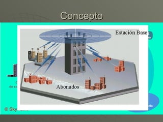 Concepto LMDS utiliza estaciones base distribuidas a lo largo de la zona que se pretende cubrir, de forma que en torno a cada una de ellas se agrupa un cierto número de usuarios, generando así de una manera natural una estructura basada en células, también llamadas áreas de servicio, donde cada célula tiene un radio de aproximadamente 4 kilómetros (como promedio), pudiendo variar dentro de un intervalo en torno a los 2-7 kilómetros . 