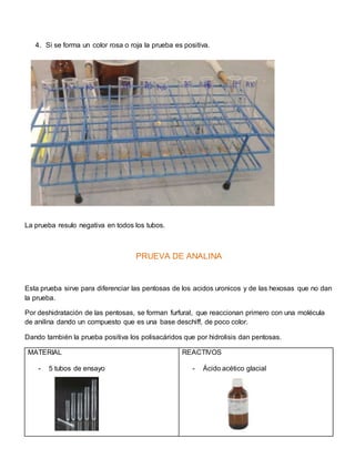4. Si se forma un color rosa o roja la prueba es positiva.
La prueba resulo negativa en todos los tubos.
PRUEVA DE ANALINA
Esta prueba sirve para diferenciar las pentosas de los acidos uronicos y de las hexosas que no dan
la prueba.
Por deshidratación de las pentosas, se forman furfural, que reaccionan primero con una molécula
de anilina dando un compuesto que es una base deschiff, de poco color.
Dando también la prueba positiva los polisacáridos que por hidrolisis dan pentosas.
MATERIAL
- 5 tubos de ensayo
REACTIVOS
- Ácido acético glacial
 