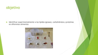 objetivo
 Identificar experimentalmente a los lípidos (grasas), carbohidratos y proteínas
en diferentes alimentos
 