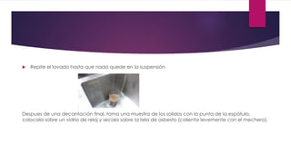  Repite el lavado hasta que nada quede en la suspensión
Despues de una decantación final, toma una muestra de los solidos con la punta de la espátula,
colocala sobre un vidrio de reloj y secala sobre la tela de asbesto (calienta levemente con el mechero).
 