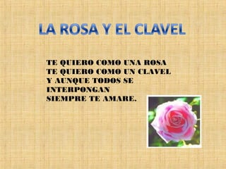 TE QUIERO COMO UNA ROSA TE QUIERO COMO UN CLAVEL Y AUNQUE TODOS SE INTERPONGAN SIEMPRE TE AMARE.