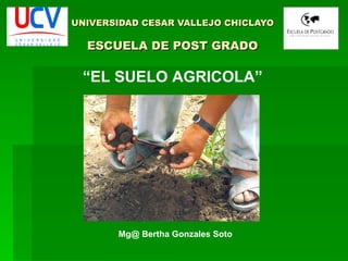 UNIVERSIDAD CESAR VALLEJO CHICLAYO ESCUELA DE POST GRADO “ EL SUELO AGRICOLA” Mg@ Bertha Gonzales Soto 