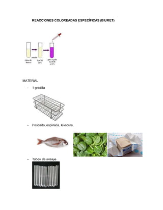 REACCIONES COLOREADAS ESPECÍFICAS (BIURET)
MATERIAL
- 1 gradilla
- Pescado, espinaca, levadura,
- Tubos de ensaye
 