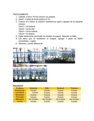 PROCEDIMIENTO
1. Calentar a hervir 5ml de solución de proteína
2. Añadir 2 gotas de ácido acético al 1%
3. Colocar en 4 tubos, la solución repartida por igual y agregar de la siguiente
manera:
Tubo1= 1ml acetona
Tubo2= 1ml de éter
Tubo3= 1ml de butanol
Tubo4= 1ml tolueno
4. Agitar fuertemente para tratar de disolver el coagulo. Reportar en tabla.
5. Los tubos que no disolvieron el coagulo, agregar 3 gotas de NaOH
concentrado, y agitar.
6. Observar y anotar diferencias.
Resultados
Proteína Acetona Éter Butanol Tolueno
Espinacas Soluble Soluble Soluble Soluble
Levadura Soluble Soluble Soluble Soluble
Grenetina Soluble Soluble Soluble Soluble
Pescado Soluble Soluble Soluble Soluble
Albumina No Soluble No Soluble No Soluble No Soluble
Leche Soluble Soluble Soluble Soluble
 