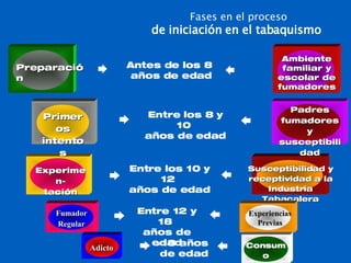Fases en el proceso de iniciación en el tabaquismo Entre los 10 y 12  años de edad Experimen- tación Susceptibilidad y receptividad a la Industria Tabacalera Entre 12 y 18  años de edad Fumador Regular Experiencias Previas >18 años  de edad Adicto Consumo regular Entre los 8 y 10  años de edad Primeros intentos Padres fumadores y susceptibilidad Antes de los 8  años de edad Preparación Ambiente familiar y escolar de fumadores 
