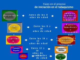 Fases en el proceso de iniciación en el tabaquismo Entre los 10 y 12  años de edad Experimen- tación Susceptibilidad y receptividad a la Industria Tabacalera Entre 12 y 18  años de edad Fumador Regular Experiencias Previas >18 años  de edad Adicto Consumo regular Entre los 8 y 10  años de edad Primeros intentos Padres fumadores y susceptibilidad Antes de los 8  años de edad Preparación Ambiente familiar y escolar de fumadores 