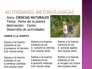 Área:  CIENCIAS NATURALES Tema:  Parte de la planta Motivación:  Canto Desarrollo de actividades VAMOS A LA HUERTA Vamos a la huerta Calienta el sol A preparar el terreno Con mucho amor Vamos a la huerta Calienta el sol A sembrar semillas Con mucho amor Vamos a la huerta Calienta el sol A  echarle la tierrita  Con mucho amor Vamos a la huerta Calienta el sol A quitarle malezas Con mucho amor Vamos a la huerta Calienta el sol A  echarle agüita  Con mucho amor Vamos a la huerta Calienta el sol A recoger los frutos Con mucho amor 