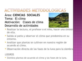 Área:  CIENCIAS  SOCIALES Tema:  El clima Motivación:  Clases de clima Desarrollo de actividades Realizar la lectura, el profesor o el niño, hacer una síntesis de ella.  Salida al patio y observar el clima que predomina en su entorno. Analizar que plantas se cultivan en nuestra región de acuerdo al clima. Observación directa de las fases de la luna para la siembra. LOGROS Siembra plantas de acuerdo al clima y las fases de la luna. 