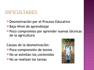 Desmotivación por el Proceso Educativo Bajo Nivel de aprendizaje Poco compromiso por aprender nuevas técnicas de la agricultura Causas de la desmotivación: Poca comprensión de textos No se asimilan los contenidos No se realizan las tareas 