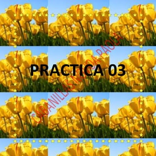 PRACTICA 03
 