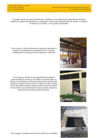 UNIVERSIDAD NACIONAL DEL SANTA
FACULTAD DE INGENIERÍA
E.A.P. DE AGROINDUSTRIA
GUÍA DE PRACTICAS DE MATERIAS PRIMAS AGROINDUSTRIALES
Dra. LUZ MARÍA PAUCAR MENACHO
La imagen muestra un área de matanza en un matadero con una disposición organizada de estructuras
metálicas y equipos especializados, los trabajadores realizan eficientemente tareas de sacrificio y despiece
de animales, en el fondo, se ven ganchos suspendidos.
En la escena, se observan dispositivos mecánicos destinados a
facilitar el levantamiento y manipulación de los animales,
contribuyendo a un proceso de oreo ordenado y controlado.
En la imagen se exhibe un área especializada destinada al
procesamiento de vísceras en el matadero. En primer plano, se
aprecia a los trabajadores utilizando indumentaria específica para
garantizar la higiene durante las tareas. Mesas de trabajo limpias
y bien iluminadas ocupan el espacio, donde los órganos internos
de los animales son cuidadosamente inspeccionados, limpiados y
preparados para su procesamiento posterior.
En la imagen se muestra el área de fosas sépticas en el matadero,
 