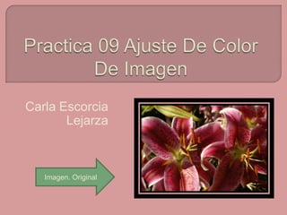 Practica 09 Ajuste De Color De Imagen Carla EscorciaLejarza Imagen. Original 