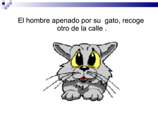 El hombre apenado por su  gato, recoge otro de la calle . 