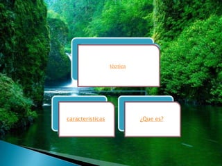 técnica




caracteristicas             ¿Que es?
 