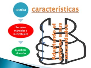 tecnica




  Recursos
 manuales e
intelectuales




 Modificar
 el medio
 